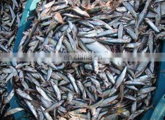 Fish flour production line/ Fish meal making machine/fishmeal production line plant in Myanmar
