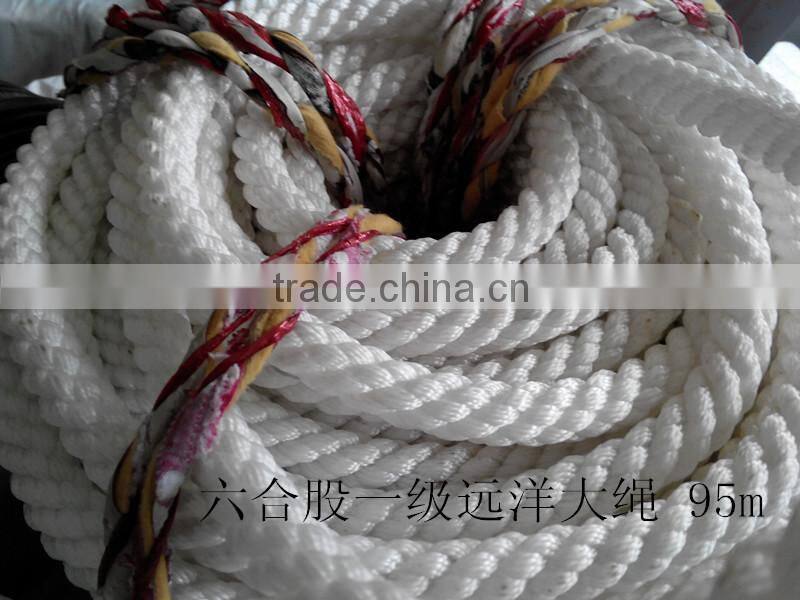 ZLP500 suspended rope platform