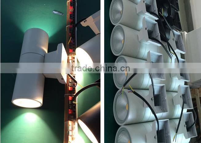 LED double-Light Up Down Lighting Outdoor 10W/20W/30W COB LED Wall lamp