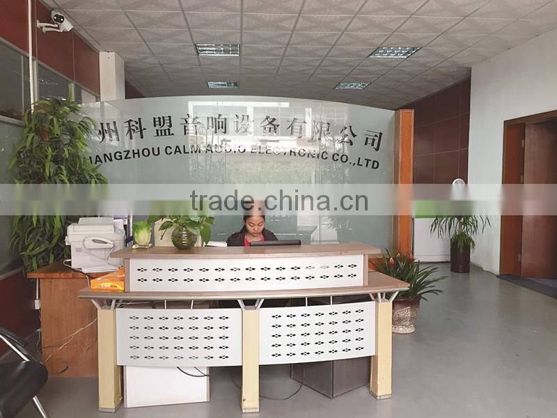 CALM Audio Digital Amplifier 1400W