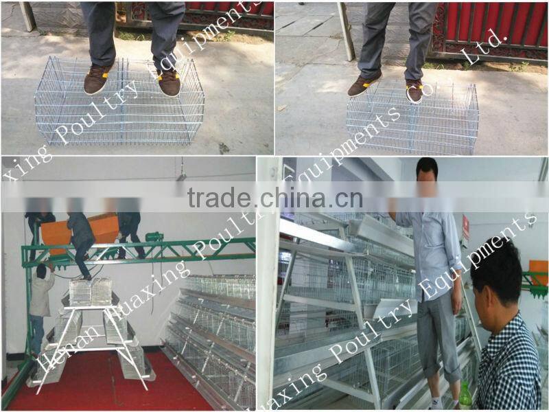 Hot sale of cage of baby chicken/New type broiler chicken cage