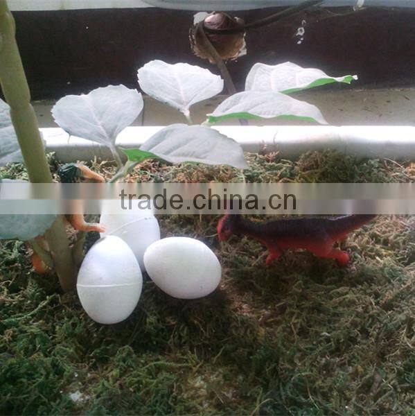 Creative colorful dinasour egg grow in water growing toy