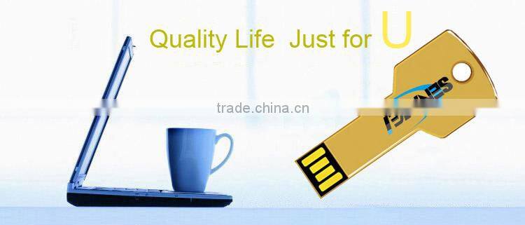 minimum order private label 8gb usb flash drive key