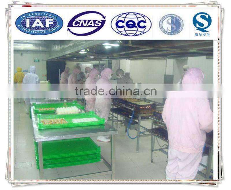 frozen roasted octopus ball