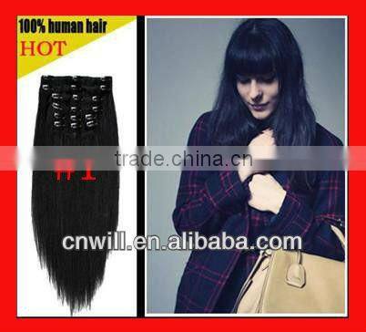 pretty remy 100g clip in hair extensions full head clip in hair extension