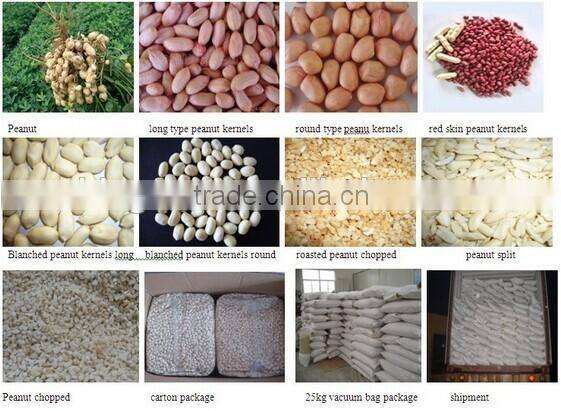 Red skin peanut kernels with good quality for sale