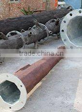 Tropic Palm Tree as decoration indoor or outdoor