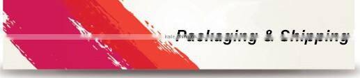 China Patent Combination Walking Backpack Billboard Flag Banner