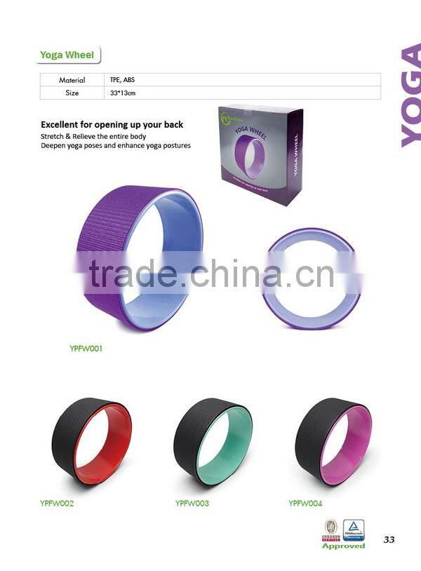 ZHENSHENG sand filled weight ball medicine ball