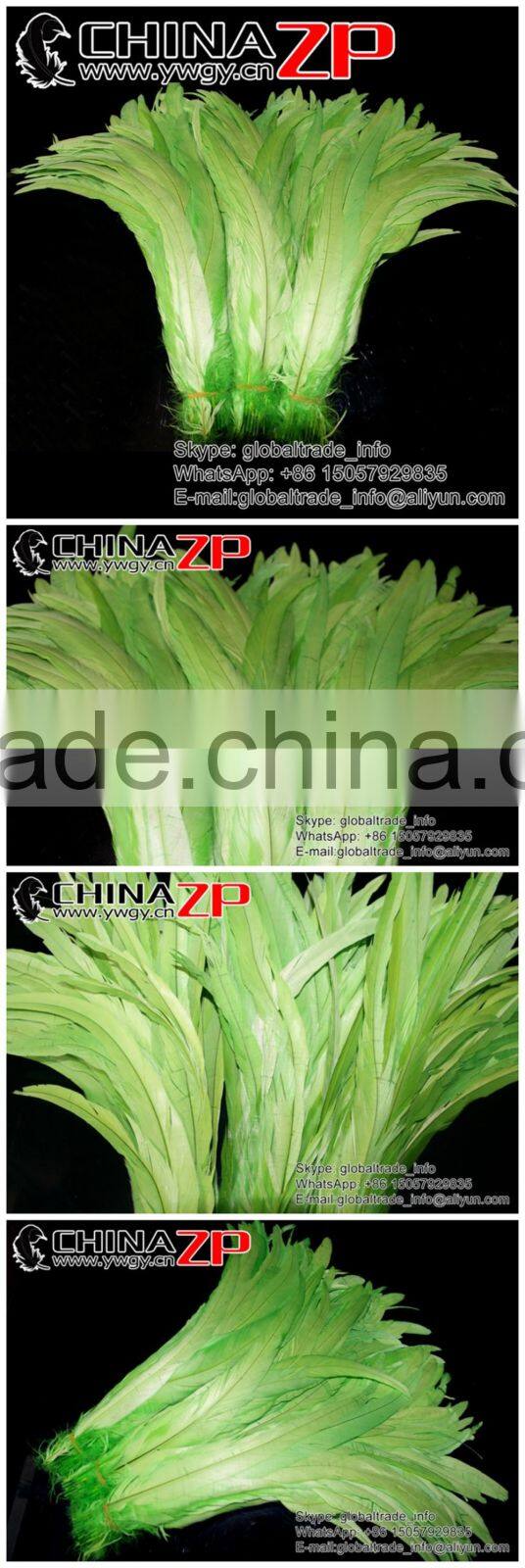 Leading Supplier CHINAZP Bulk Sale 35-40cm Length Cheap Colored Green Fully Dyed Rooster Chicken Feathers
