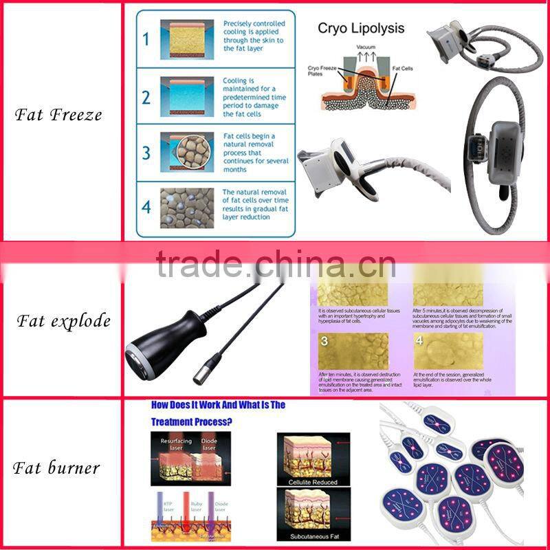 Portable 5 in 1 vacuum laser lipolysis /cryo freezing lipo laser /cold laser therapy machine sale