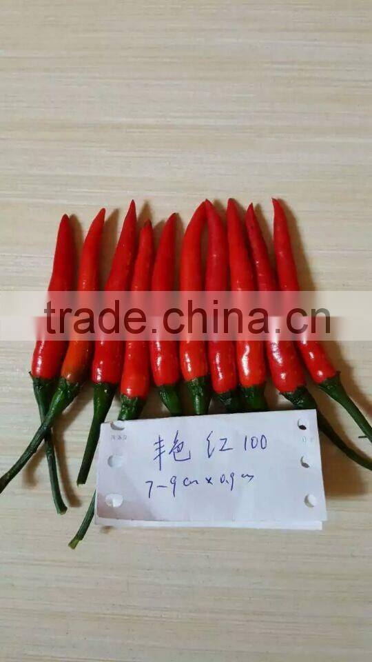 Hybrid F1 Red Hot Pepper Seeds Chili Seeds For Sale-Brightness Red 100
