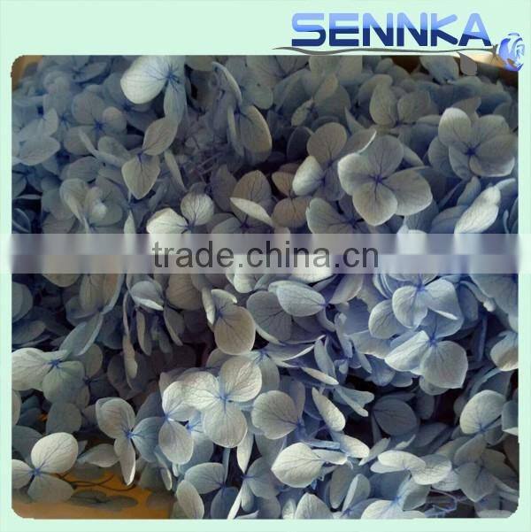 Supply Light Blue Preserved Flower Preserved Fresh Hydrangea Natural Flowers Decoration Wedding Events