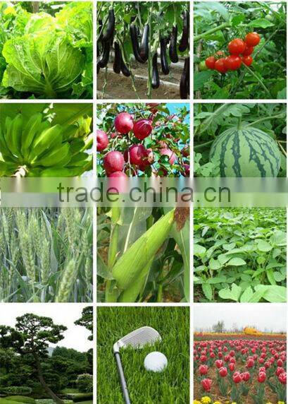 Ammonium Sulphate HBIS