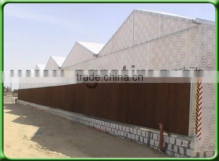 Multi Span Tunnel PE Plastic Film Hydroponic Systems Agricultural Commercial Greenhouse