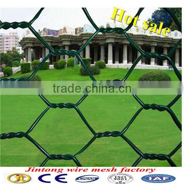 anping jintong galvanized bird cage wire mesh/chicken wire Low Price