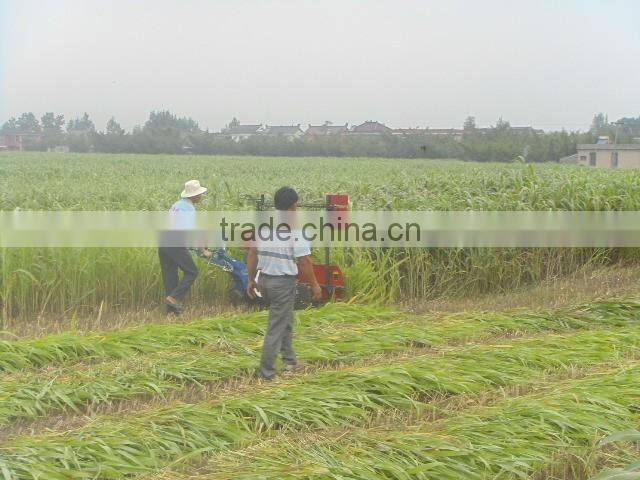 Discount Mini reaper harvester for pepper