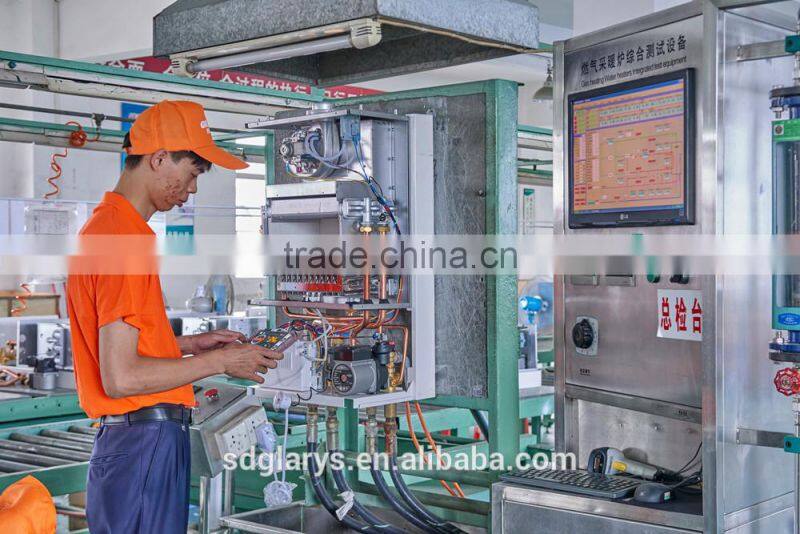wall mounted nature Gas boiler- Manufacturer since 2005