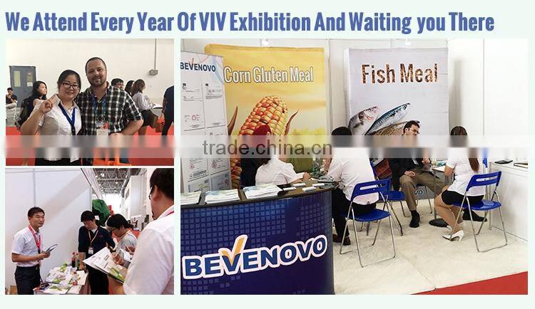 Make Anchovy Fish Meal Production 65% Protein