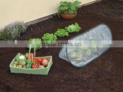Pop-Up Garden Poly Cloche Cold Frame Mini Greenhouse