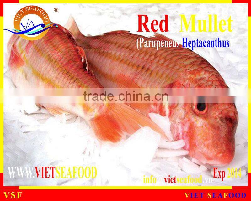 FROZEN W/R RED MULLET