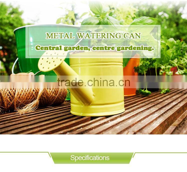 high quality galvanized garden watering can in bulk