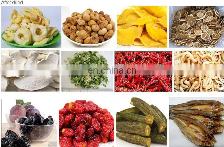 Automatic Gas/Multi-layer Conveyor Mesh Belt Dryer/tunnel food drying oven /machine for fruit and vegetable dry