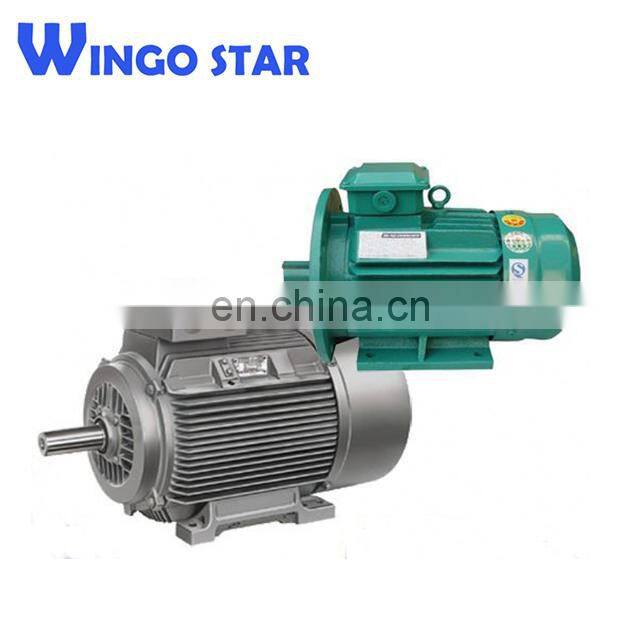 permanent magnet synchronous motor