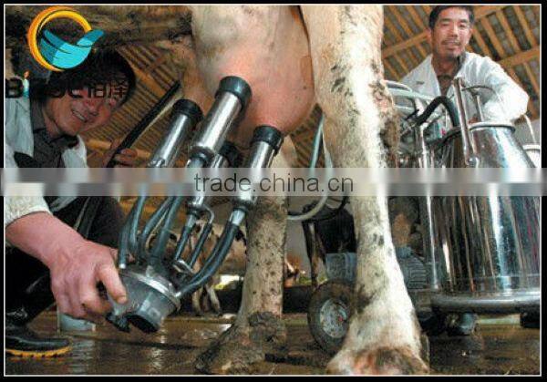 electric/high quality/stainless steel/25L goat milking machine