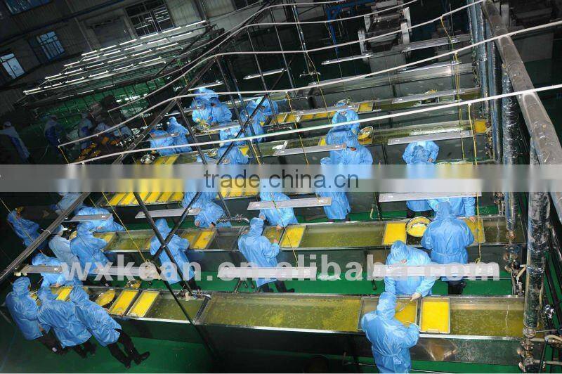 Turnkey project automatic orange cell making machinery include peeling,segmenting,selecting,beating machine