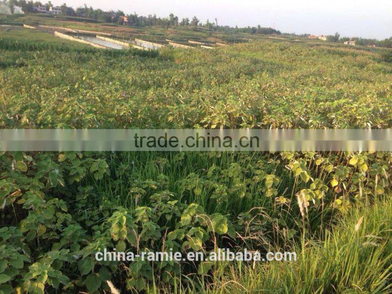 ramie yarn nice hollow fabric