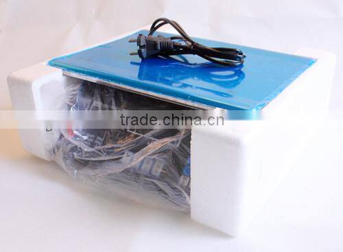 Big capacity electronic shipping scale