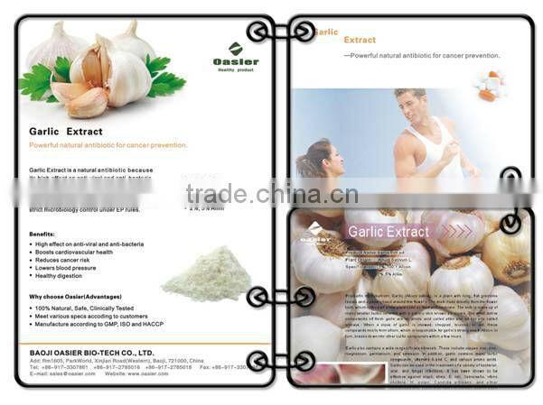 100% Natural manufacturer roast garlic powder