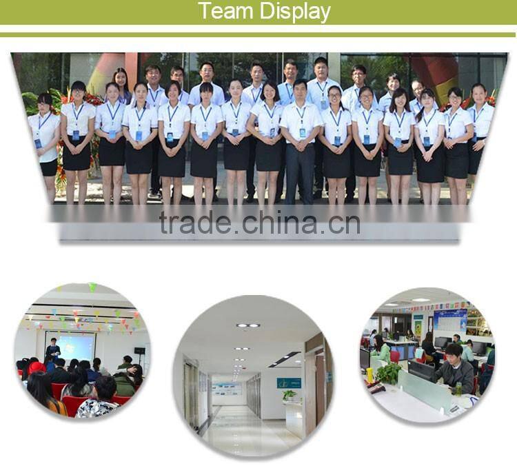 Competitive Price Waterproof Minion Silk Sleeping Bag Liner