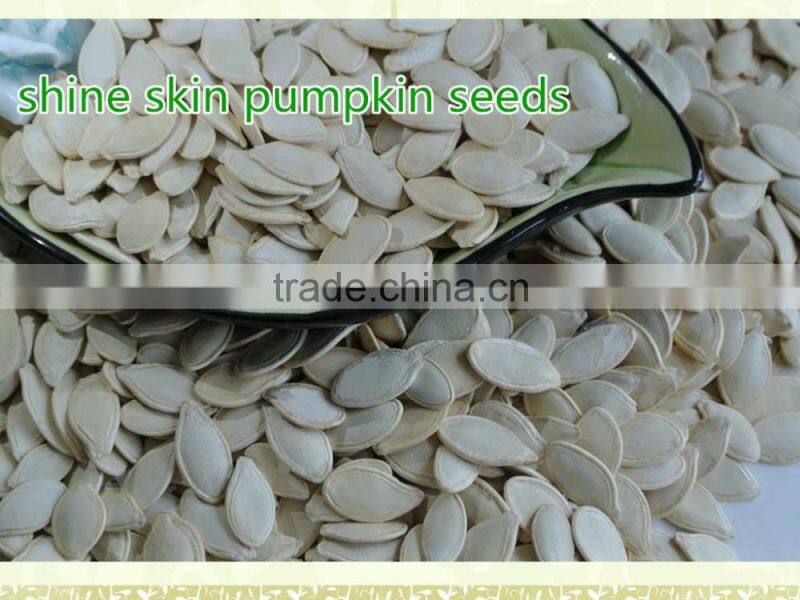 Dalian China Cover Crop Seeds Pumpkin Seeds