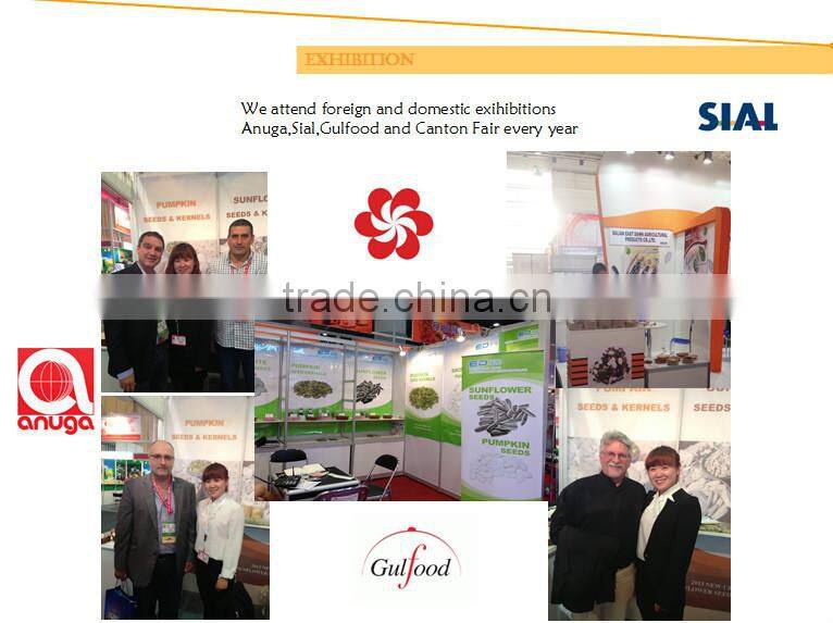 2015 New Crop Shine Skin Pumpkin Seeds price