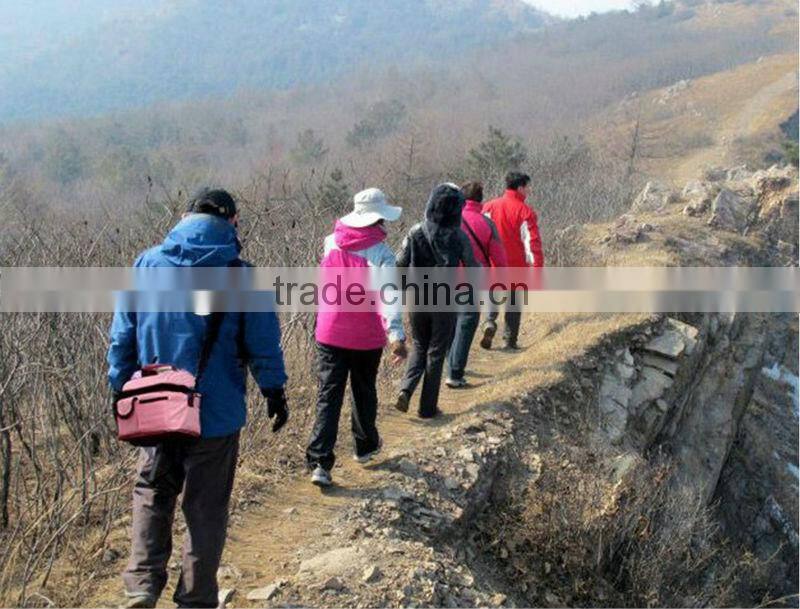 Manufacture 600D nylon oxford picnic cooler bags tapes and printing by customization