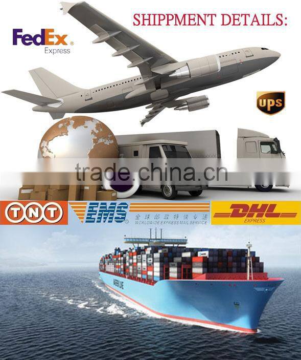 European 2x LED Light Plastic License Plate Frame