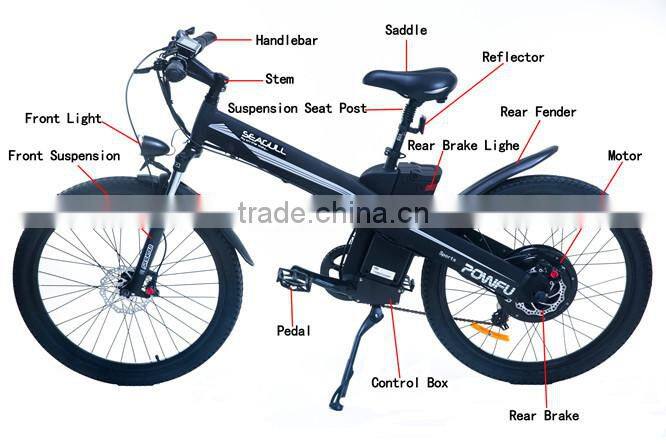 Seagull,cheap retro electric bike