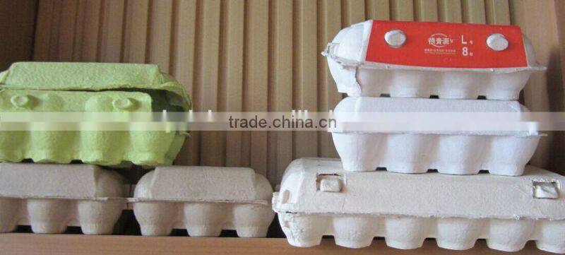bottle service tray molding machine from paper pulp