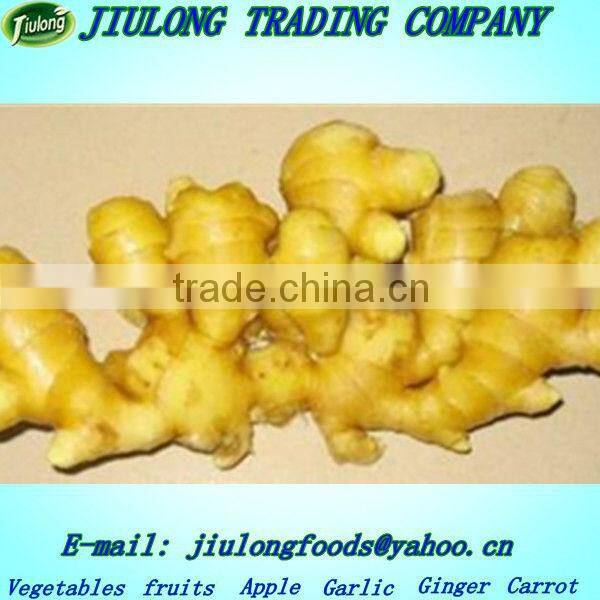 Market price for big ginger