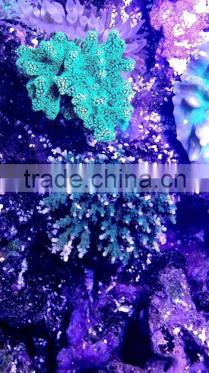 wholesale marine led light 165w dimmable coral reef led lighting