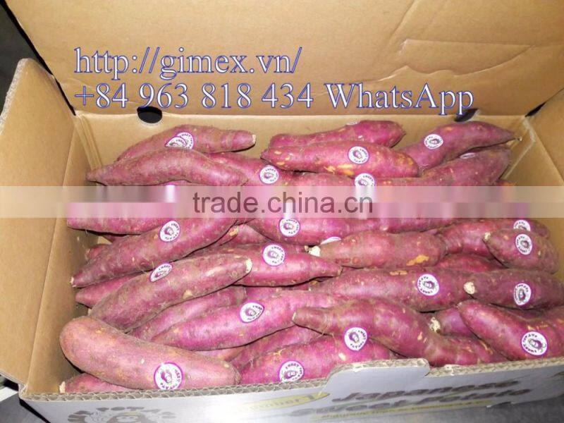 JAPAN YELLOW SWEET POTATO