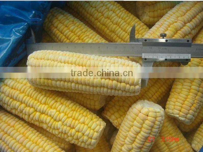 NEW FROZEN WHOLE KERNEL CORN JINFEI SWEET CORN