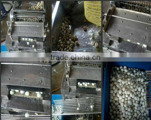 Hot sale quail egg peeling machine 0086-15037185761