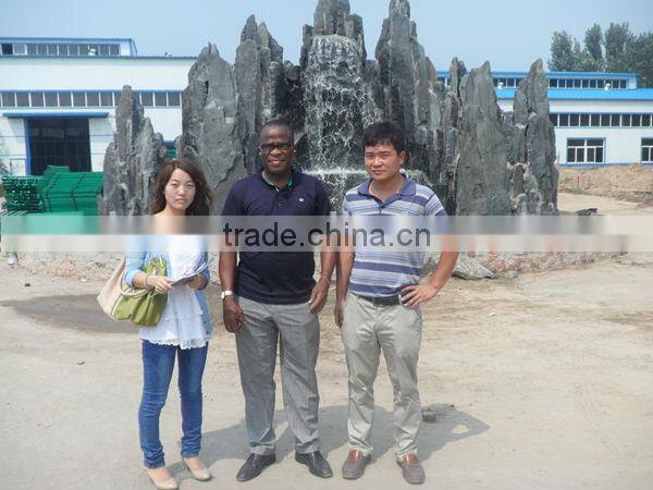 Galvanized/PVC Coated Welded Wire Mesh Anping County China 24 years Manufacturer