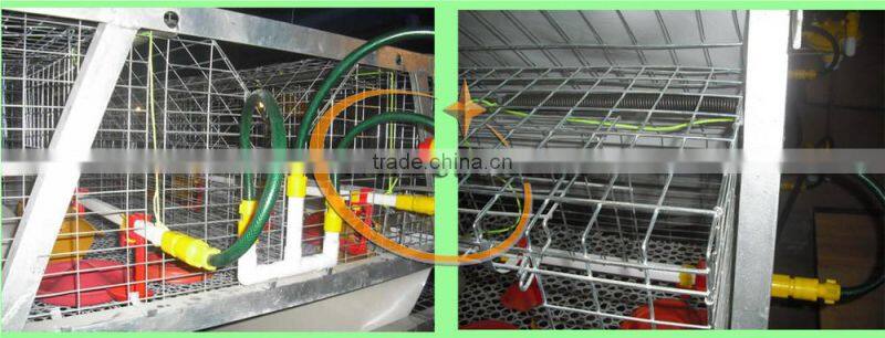 TAIYU Chicken Broiler House