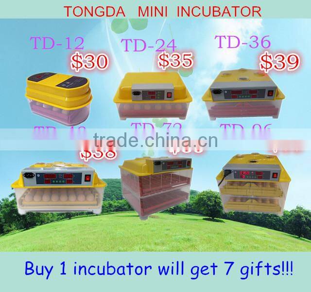 A type Layer Chicken Cage