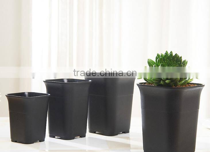 Square small black square succulent plants plastic flowerpot seeding pot