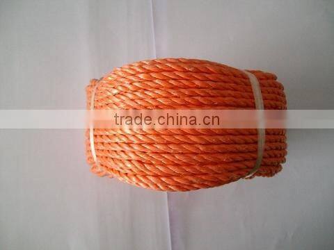 Hote sale PP Packing rope